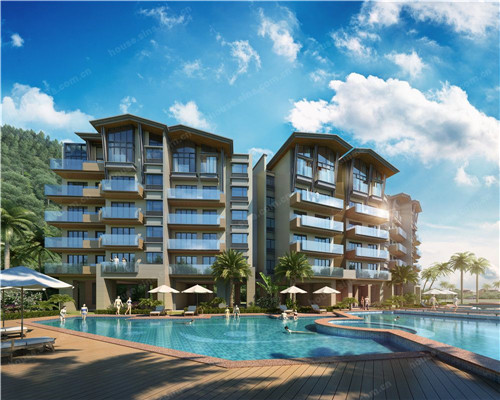 艾柠檬活力烘焙