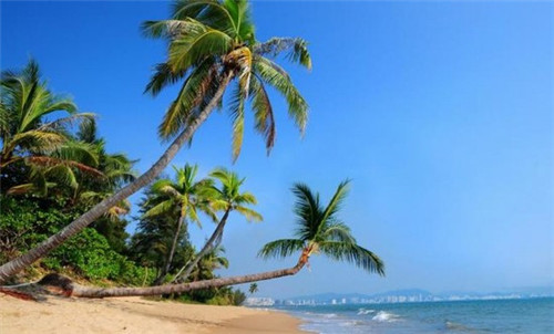 专利创新品牌排名，专利创新点怎么写