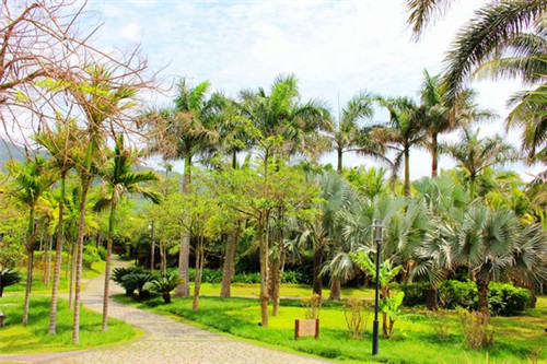 港之恋加盟怎么样，加盟港之恋需要满足什么条件