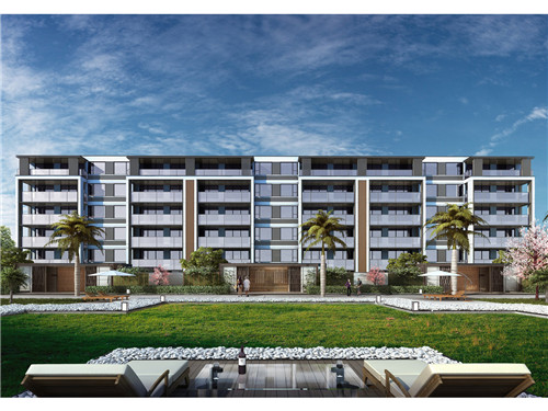 子姜炒腊猪耳朵可以吃吗（子姜炒腊猪耳朵可以吃吗有毒吗）