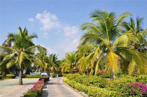 何以歌简音作5是什么调（何以歌和弦）