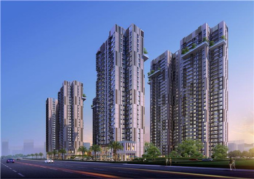 蚝油素茭瓜怎么炒比较好（油闷茭瓜）