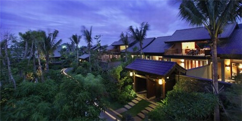 豆尾菜的芽尖（豆尾菜的芽尖可以吃吗）