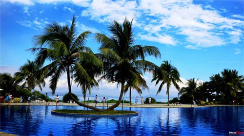 大丰哪里好玩推荐（大丰哪些景点）