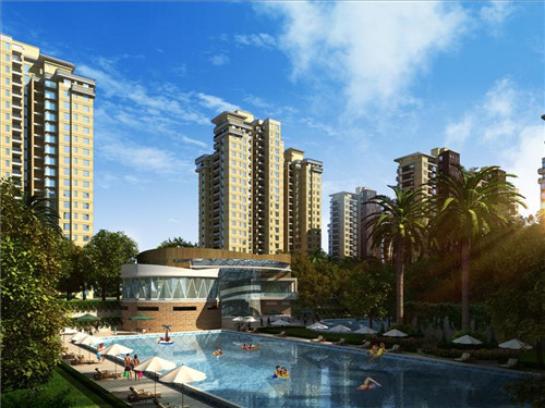 香菇牛肉炒红萝卜可以吃吗（牛肉可以和香菇红萝卜一起煮粥吗）